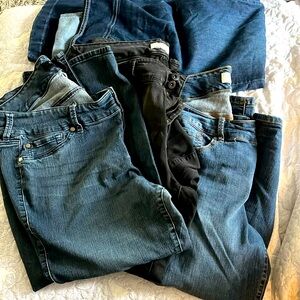 Torrid begging lot size 20